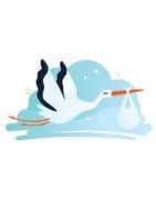 🎁 Cadeaux de naissance Personnalisée