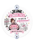Plaque de voiture