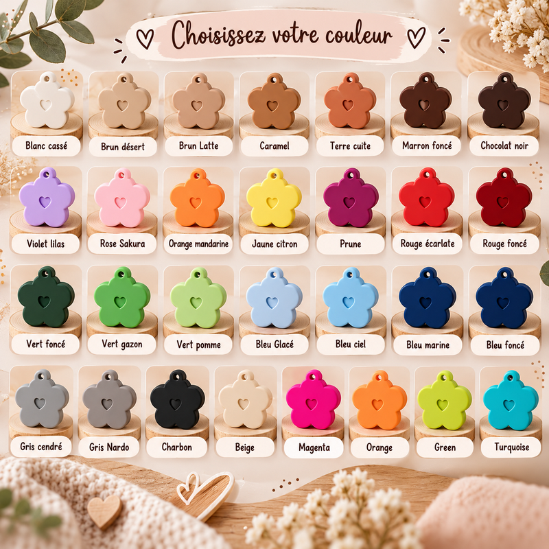 choix des couleurs 3D.png